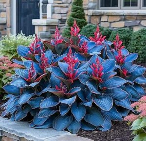 Хоста Грин Фог купить по цене от 669р. в интернет-магазине «Посадика» с доставкой почтой в в Дубнае и по всей России – [изображение №1].