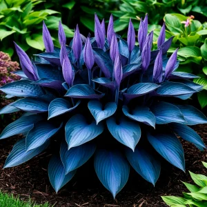 Хоста Сикрет Гров купить по цене от 570р. в интернет-магазине «Посадика» с доставкой почтой в в Дубнае и по всей России – [изображение №1].