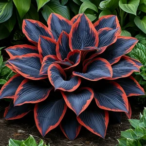 Хоста Солнечный Агат купить по цене от 440р. в интернет-магазине «Посадика» с доставкой почтой в в Дубнае и по всей России – [изображение №1].